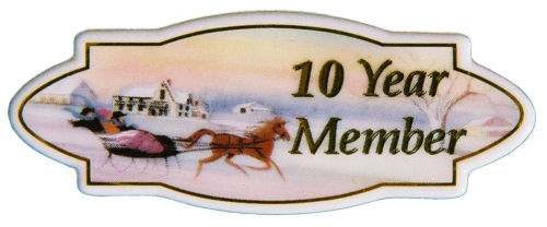 10 Year Anniversary Pin